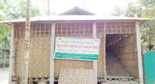অহিমায়িত সংরক্ষণাগারে আলু