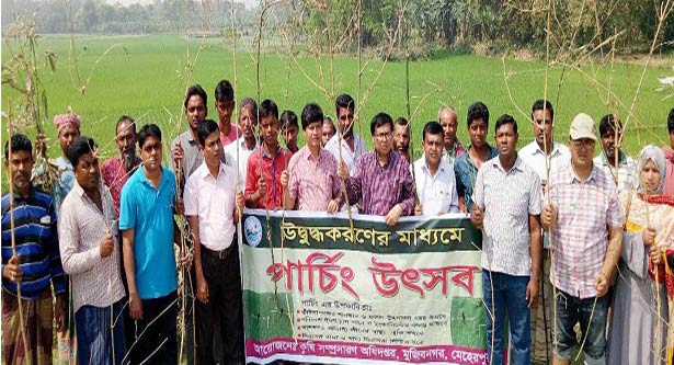 ধান চাষে পার্চিং পদ্ধতি