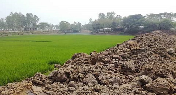 আবাদি জমিতে পুকুর কাটার হিড়িক