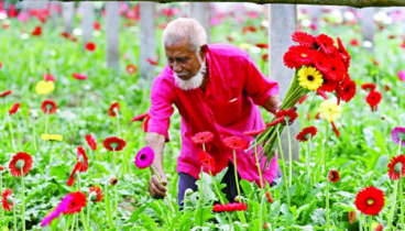 ‘ফুলের রাজধানী’ গদখালী ঘুরুন, মিস করবেন না খেজুর রসও