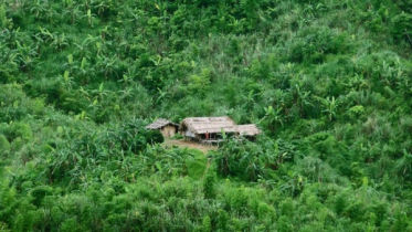 বন-পাহাড়ের দেশে