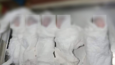 প্রদীপের আলো হয়ে এলো, একদিন পরে চলেই গেল