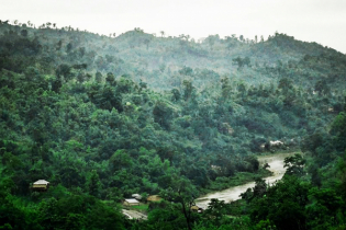 ক্যাম্পে