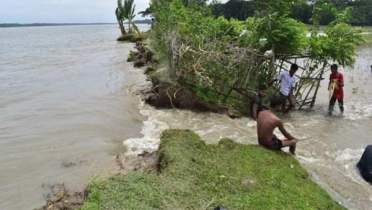 কাঠালিয়ায় বাঁধ ভেঙে ৪৫টি গ্রামে ঢুকছে পানি