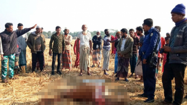সমর্থককে না পেয়ে গরুর পা-মাথা কেটে নিল প্রতিপক্ষ