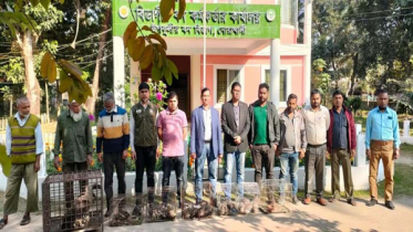 আকাশে পাখা মেলল ৪৫ ঘুঘু-৪ শালিক