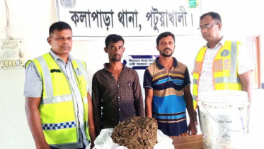চুলার পাশে মাটি খুঁড়ে মিলল গাঁজা, আটক ২