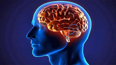 মানব মস্তিষ্কে বসবে মেমোরি কার্ড