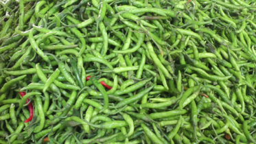 দাম কমেছে কাঁচামরিচের
