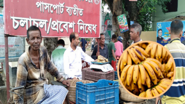 এক কেজি কলা ৫০ টাকা