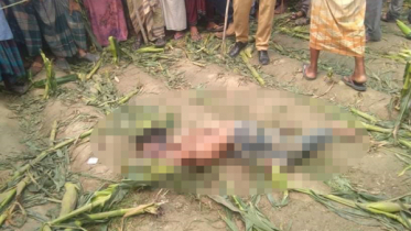 ভুট্টাক্ষেতে শিশুর গোপনাঙ্গ কাটা লাশ, ছিল হাত-পা বাঁধা