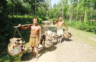 ৫ শতাধিক ক্ষুদ্র নৃ-গোষ্ঠী পরিবারের বেঁচে থাকার লড়াই