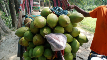 ডাবে সেঞ্চুরি, ব্যবসায়ীদের পকেট ভারী