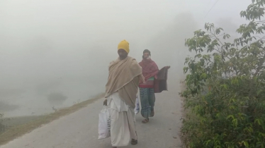 কুয়াশার চাদরে ঢাকা উপকূলীয় এলাকা