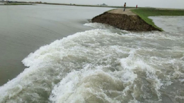 ভাঙল মাউতির বাঁধ, ডুবছে তিন জেলার ফসল