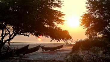 তালতলী : যেন এক সাজানো প্রকৃতির সান্নিধ্য