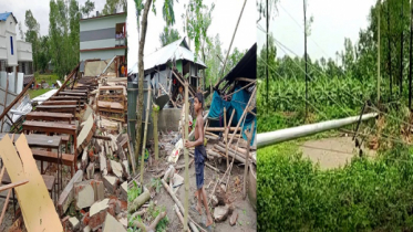 ঘাটাইলে ঝড়ে পাঁচ শতাধিক ঘরবাড়ি বিধ্বস্ত, আহত ৩