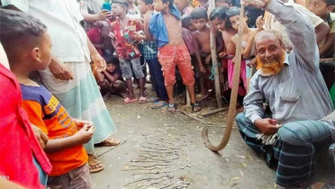 শোয়ার ঘরে মিলল ২৫ গোখরা সাপ