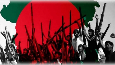 বিজয়ের রঙ