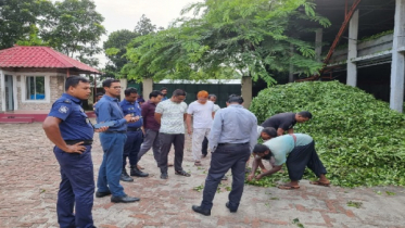 কম দামে চা পাতা ক্রয়, জরিমানা গুনলো দুই কারখানা