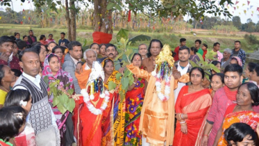 দুই গাছের জমকালো বিয়ে, অতিথি ৫ শতাধিক