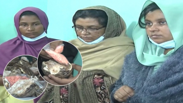 ৮ বোনের শক্তিশালী সিন্ডিকেট, কচুর ভেতর ইয়াবা ঢুকিয়ে পাচার