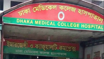 স্বামীর সঙ্গে অভিমানে ওড়না পেঁচিয়ে ঝুলল গৃহবধূ