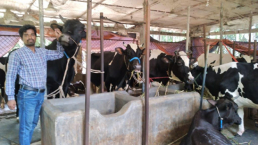 ২০ হাজার টাকার ছাগল কিনে আজ কোটিপতি