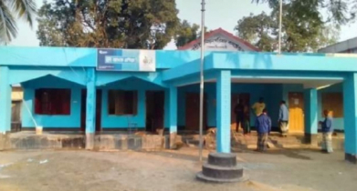 গাছে উঠে চেয়ারম্যান প্রার্থীর আত্মহত্যার চেষ্টা