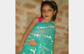 গর্তের ভেতর নিথর মৌ, পেটের বাইরে নাড়ি-ভুঁড়ি