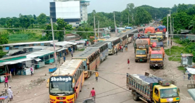পাটুরিয়া ফেরিঘাটে ট্রাকচাপায় বৃদ্ধ নিহত