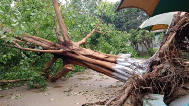 বগুড়ায় ৮৮ কিলোমিটার বেগের ঝড়ে প্রাণ গেল দুজনের