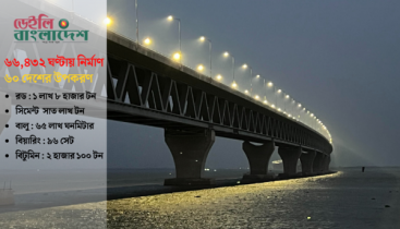 ৬৬,৪৩২ ঘণ্টায় পদ্মাসেতু নির্মাণ, লেগেছে ৬০ দেশের উপকরণ