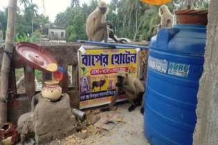 শ্বশুবাড়িতে ব্যতিক্রমী ‘বাপের হোটেল’ খুললেন জামাই