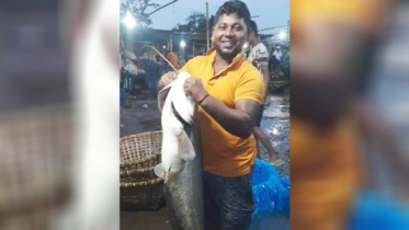 বড়শি টান দিতেই উঠে এলো ২০ কেজির বোয়াল