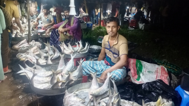 ইলিশে নেই কমতি, তবু বাড়াবাড়ি