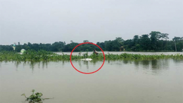 ঘুম থেকে উঠে ছেলে দেখলো পুকুরে ভাসছে মায়ের লাশ