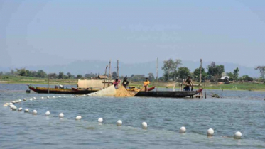 কাপ্তাই হ্রদে মাছ ধরা শুরু ১৭ আগস্ট 