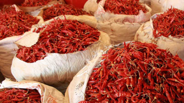 শুকনো মরিচের দাম কমেছে ১০০ টাকা