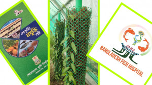 গবেষণা-উদ্ভাবনে সাফল্য, যেসব আলোচনায় শেকৃবির ‘২০২২’