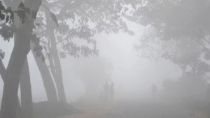 কাঁপছে নওগাঁ, সর্বনিম্ন তাপমাত্রা ৮.৪  