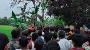 গাছে উঠে তেঁতুল পাড়তে গিয়ে নিথর হলেন বৃদ্ধ