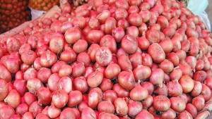পেঁয়াজের কেজি ২৫ টাকা