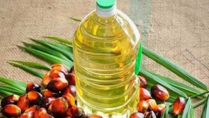 পাম ওয়েল রফতানিতে ইন্দোনেশিয়ার কড়াকড়ি
