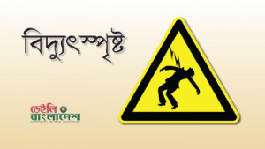 মেলান্দহে বিদ্যুৎস্পৃষ্টে দুইজনের মৃত্যু