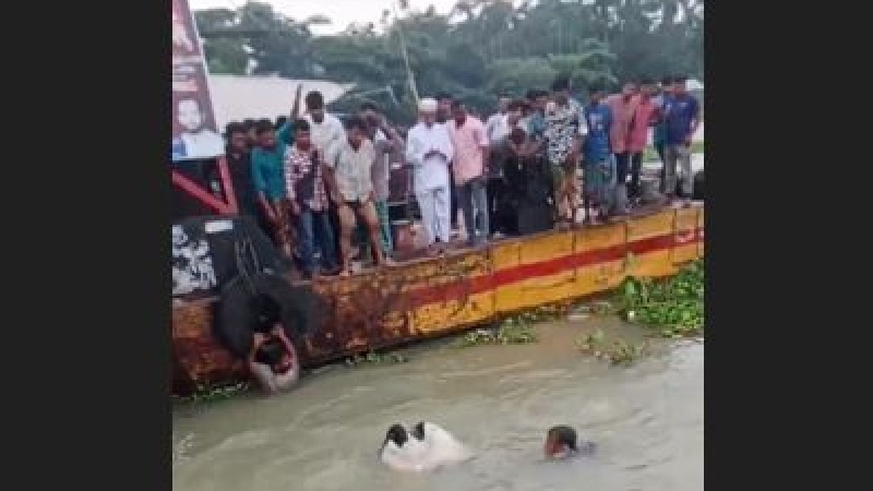 ফেরিতে উঠতে গিয়ে কঁচা নদীতে গরুবোঝাই পিকআপ