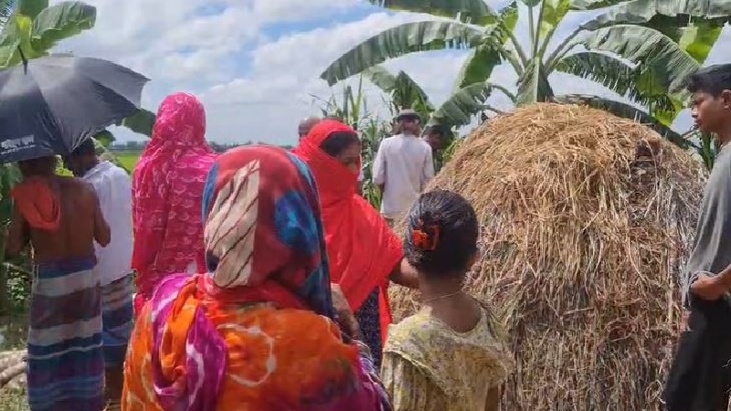 টাঙ্গাইলে ১০ ঘোড়া জবাই, ৭টির মাংস নিয়ে পালাল দুর্বৃত্তরা