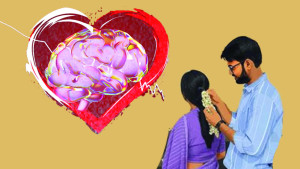  ভালোবাসা তৈরি হয় ব্রেনের রসায়নে!