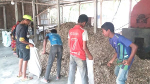 ওষুধ শিল্পের চাহিদা মেটাচ্ছে হাড়ের গুঁড়ো