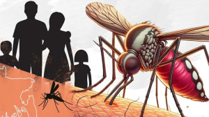 এক মাসে ডেঙ্গু রোগী বেড়েছে দ্বিগুণ
